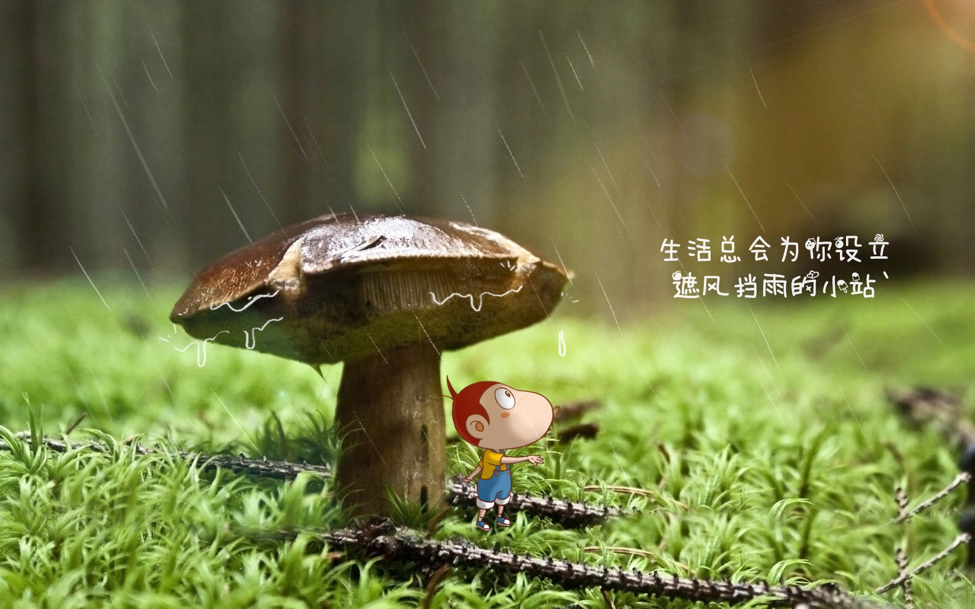 中超联赛体能衰减点数据建模，中超体能测试