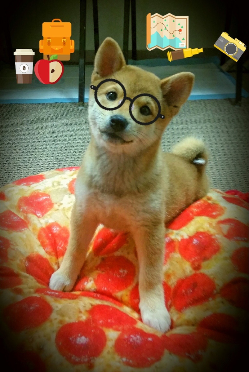 德甲攻防赛：攻势如火，防线坚韧不拔，德甲对抗